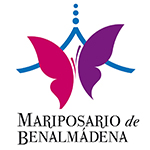 benalmadena-butterfly-logo150x